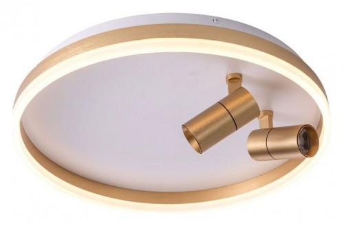 Потолочный светильник Zortes Raizy ZRS.1888.02