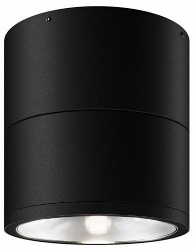 Потолочный светильник уличный Maytoni Spin O310CL-L12GF3K Потолочный светильник уличный Maytoni Spin O310CL-L12GF3K