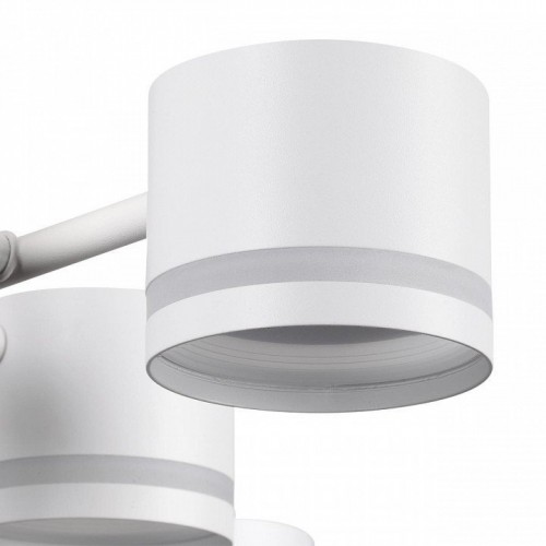 Потолочная люстра Lumion Gareta 8235/12C