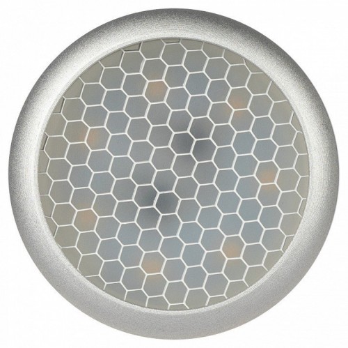 Спот Эра  OL55 WH/SL