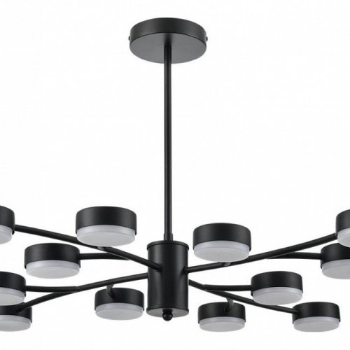 Потолочная люстра Lumion Torina 8117/12