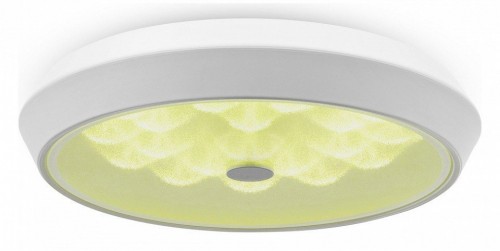 Накладной светильник Freya LED FR10012CL-L24W