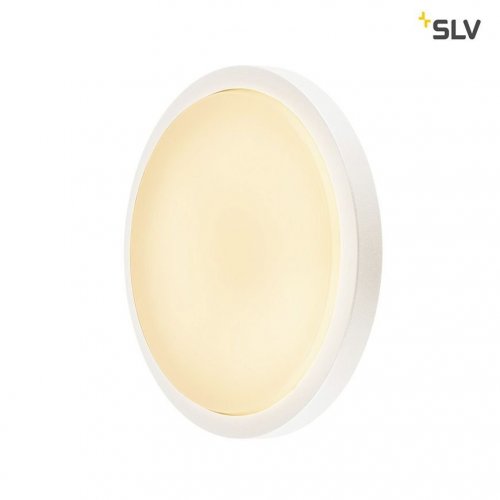 Потолочный светильник уличный Ainos 229961