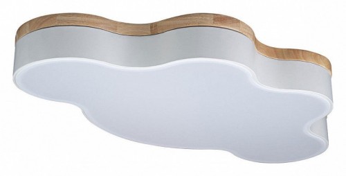 Потолочный светильник Loft IT Axel 10005/36 White