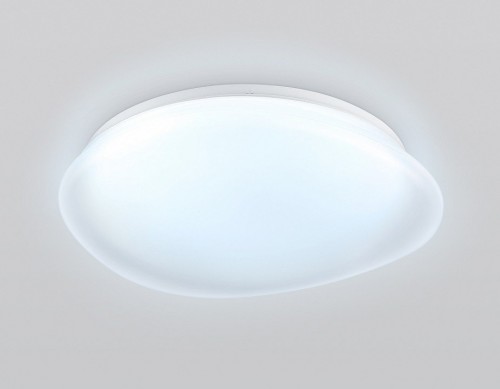 Потолочный светильник Ambrella light Orbital FZ1610