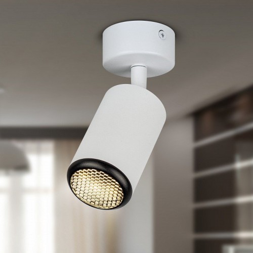 Спот Эра  OL55 WH/BK