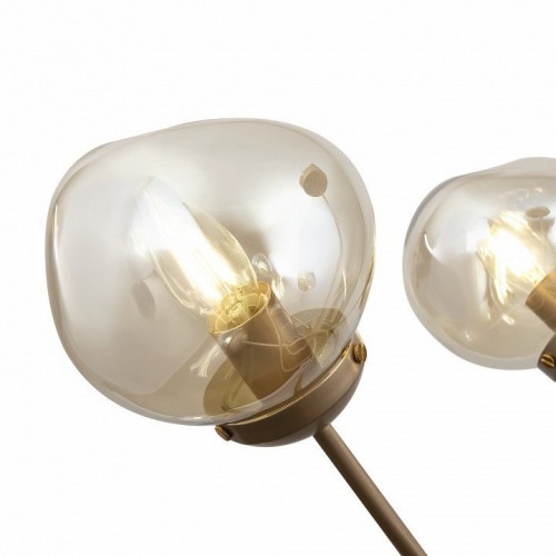 Потолочная люстра Freya Volani FR8017PL-10MG