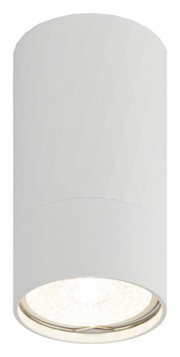 Накладной светильник Эра OL31 WH Б0056375