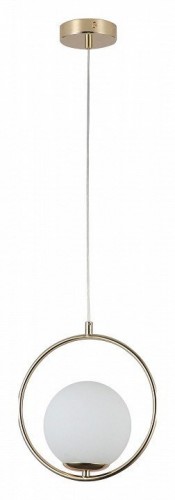 Подвесной светильник F-Promo Oportet 2786-1P