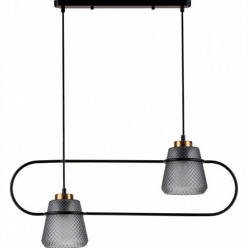Подвесной светильник Indigo Astratto 11016/2P Black Подвесной светильник Indigo Astratto 11016/2P Black