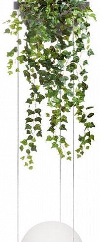 Подвесной светильник Loft IT Jardin 10121/1P Dark grey