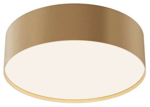 Потолочный светильник Maytoni Zon C032CL-24W4K-RD-MG