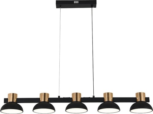 Подвесной светильник Indigo Traforo V000184L