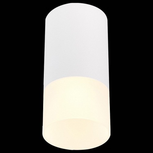 Потолочный светильник ST Luce ST100.512.01 Потолочный светильник ST Luce ST100.512.01