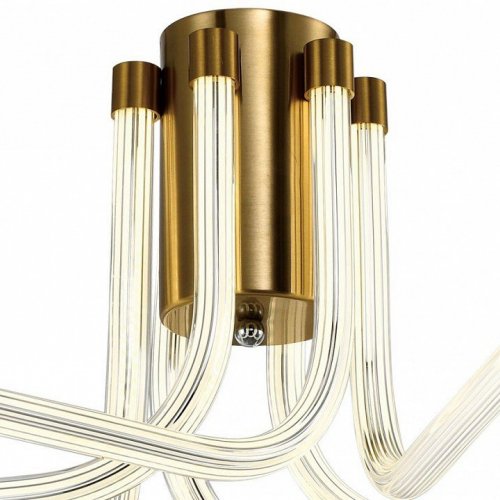 Потолочная люстра Lora ZRS.57784.06