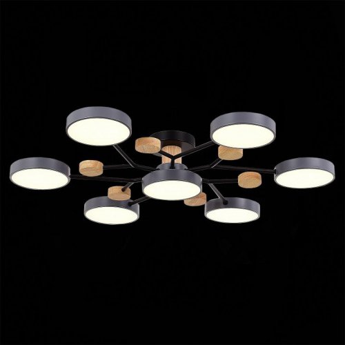 Потолочная люстра EVOLUCE Faema SLE6006-702-07 Потолочная люстра EVOLUCE Faema SLE6006-702-07