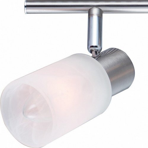 Настенно-потолочный светильник Arte Lamp Cavalletta A4510PL-2SS