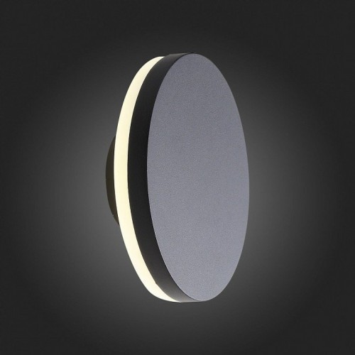 Уличный настенный светодиодный светильник ST Luce Mango SL087.401.01