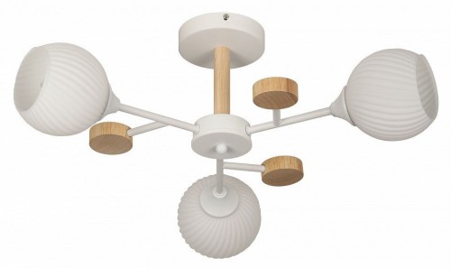 Люстра на штанге Rivoli Chiara Б0068427 Люстра на штанге Rivoli Chiara Б0068427