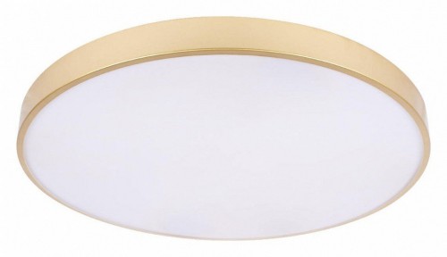 Потолочный светильник Loft IT Flims 10228/B Потолочный светильник Loft IT Flims 10228/B