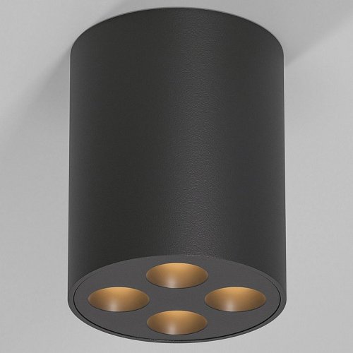 Потолочный светильник Elektrostandard 25111/LED a067484