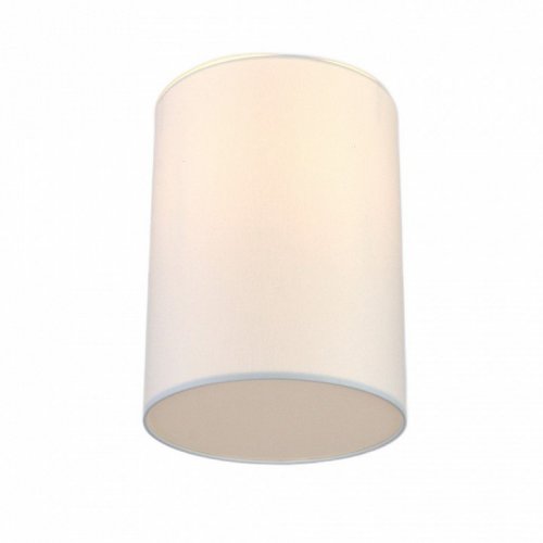 Потолочный светильник Lighthall Camerona 30 LH022018