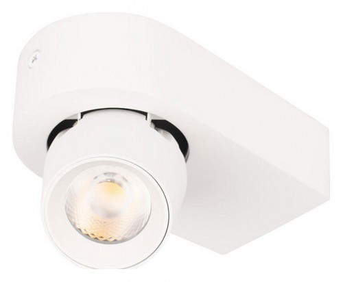 Спот Loft IT Quiet 10320 White