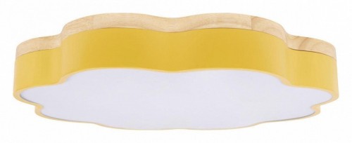 Потолочный светильник Loft IT Axel 10225/36 Yellow