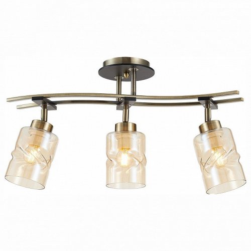 Спот Citilux Мерида CL142134