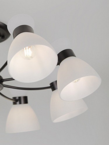 Потолочная люстра Aemilia 9185-308