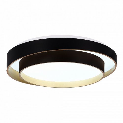 Потолочный светильник Evoluce Crosby SLE6009-402-01 Потолочный светильник Evoluce Crosby SLE6009-402-01