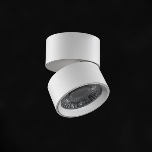 Точечный светильник Lumker RINK R-SSF-WH-NW Точечный светильник Lumker RINK R-SSF-WH-NW