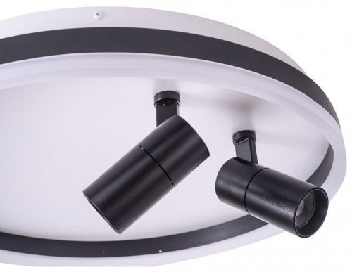 Потолочный светильник Zortes Raizy ZRS.1888.01