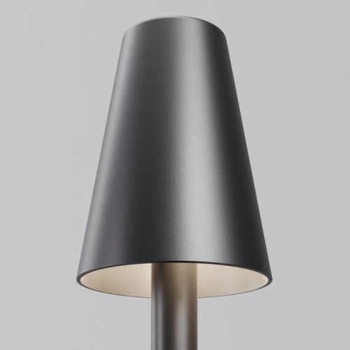 Грунтовый светильник Cane O504FL-L1B3K1