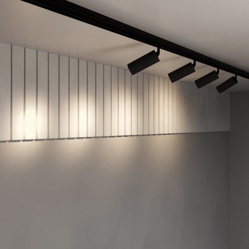 Трековый светильник Maytoni Focus LED TR032-2-20W3K-S-B