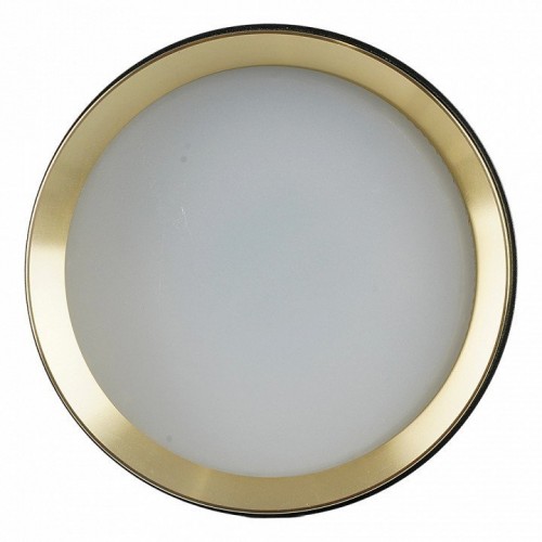 Накладной светильник Feron  52021