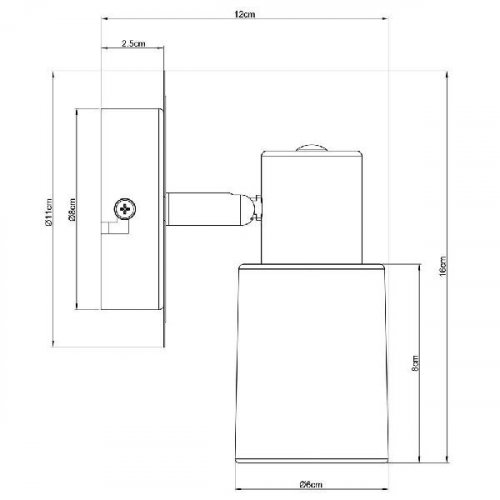 Настенно-потолочный светильник Arte Lamp Cavalletta A4510AP-1SS