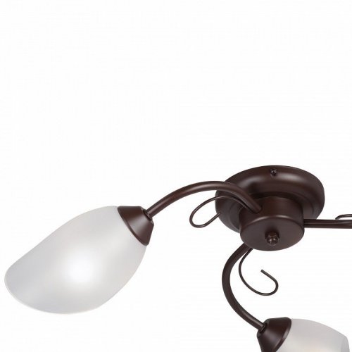 Потолочная люстра Vitaluce V3715/3PL