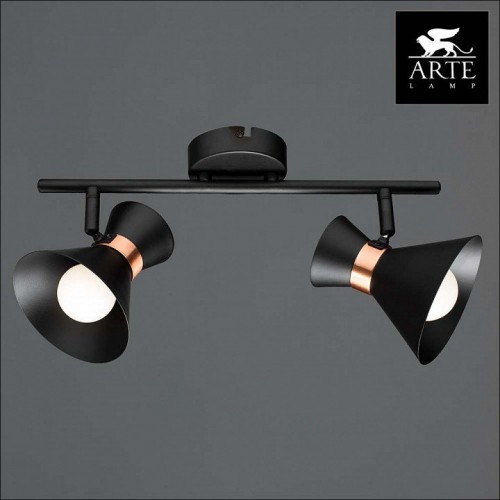 Настенно-потолочный светильник Arte Lamp Baltimore A1406AP-2BK