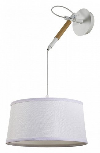 Подвесной светильник F-Promo Eureka 3005-1P