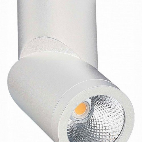 Светодиодный спот ST Luce ST650.542.10 Светодиодный спот ST Luce ST650.542.10