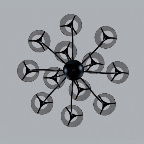 Потолочная люстра Lumion Smoky 6570/12C