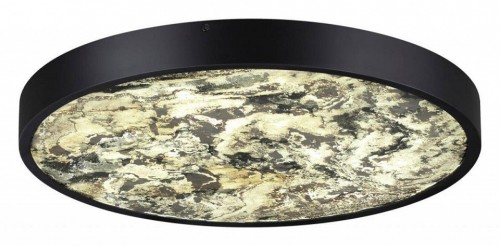 Настенно-потолочный светильник Odeon Light Bergi 5064/40L