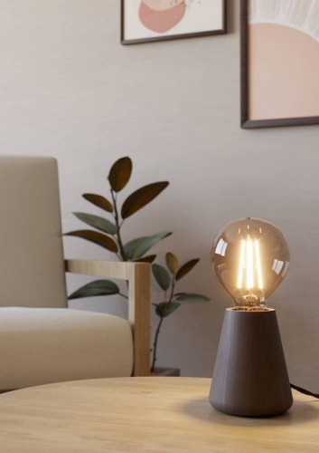 Интерьерная настольная лампа Eglo Asby 44015