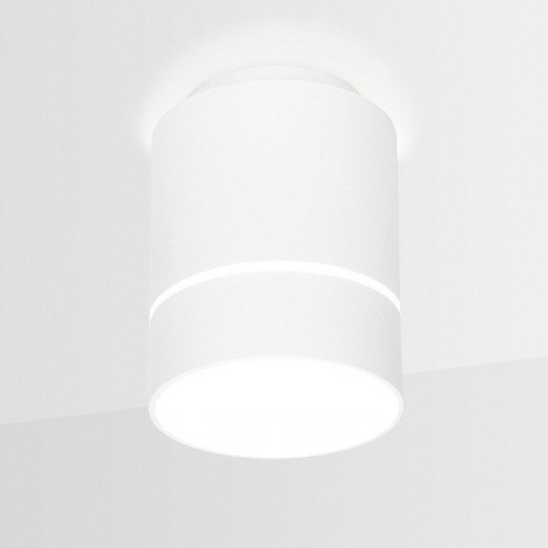 Потолочный светодиодный светильник Ambrella light Techno Spot TN255 Потолочный светодиодный светильник Ambrella light Techno Spot TN255