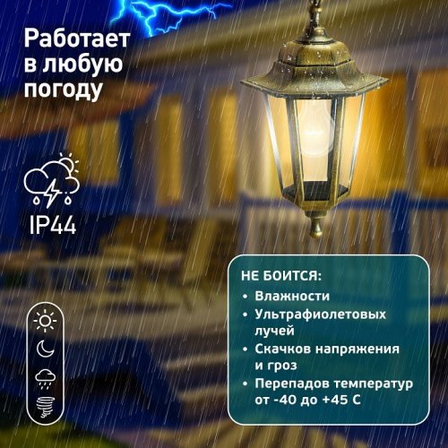 Подвесной светильник Эра  НСУ 06-60-001 бронза