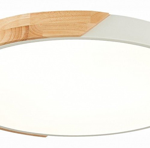 Потолочный светодиодный светильник Evoluce Festa SLE200952-01