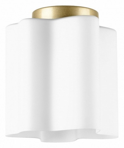 Потолочная люстра Lightstar Nubi 802013