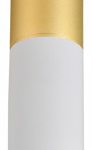 Потолочный светодиодный светильник Favourite Deepak 3073-1C