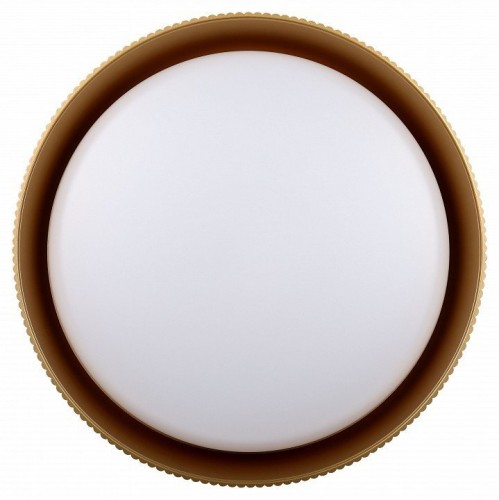 Потолочный светильник  SPB-6 Bella  48W-3K-6,5K BK